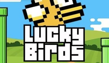 Lucky Birds